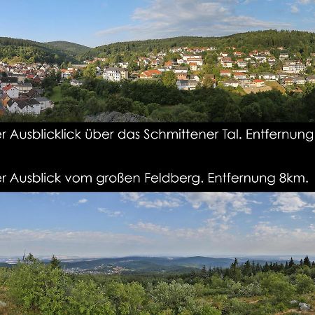 Taunusblick-Meissner Schmitten Dış mekan fotoğraf
